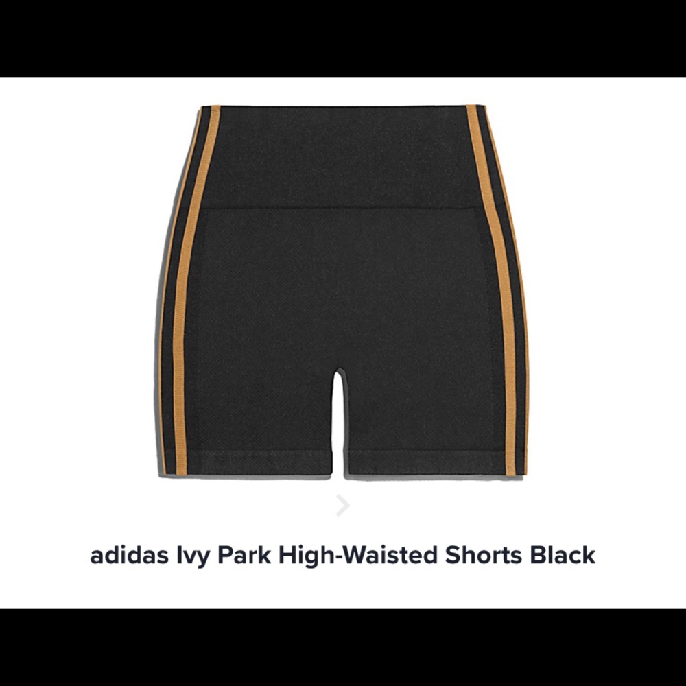IVY PARK latest collection